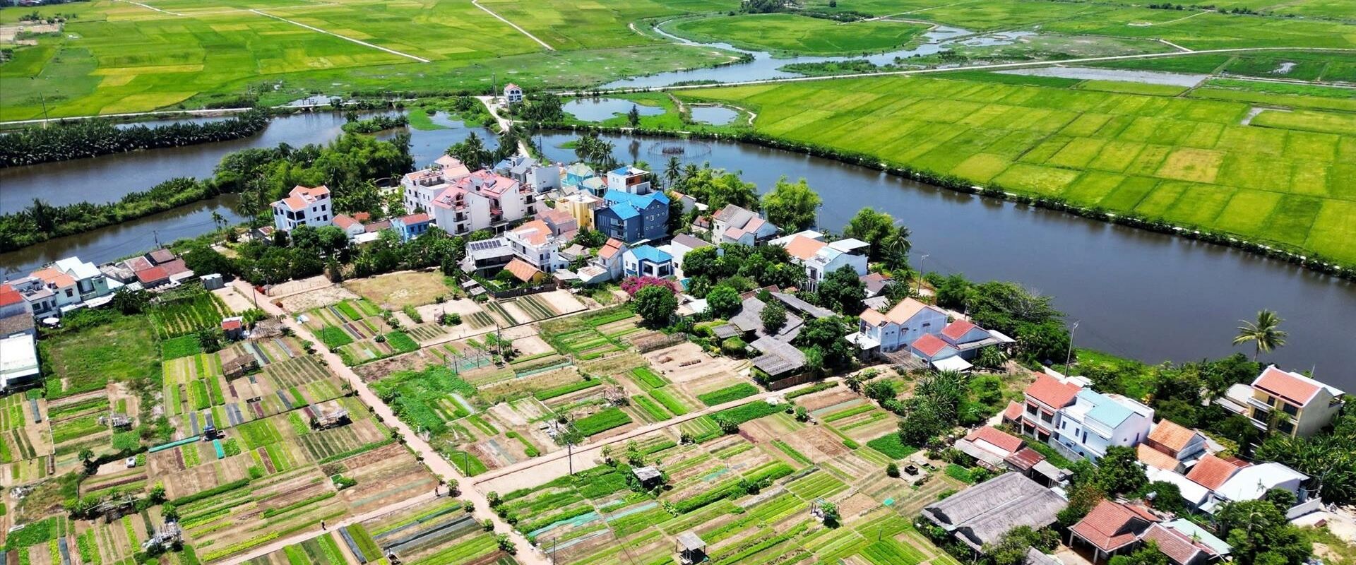 Scenic Tra Que Village farmland in Hoi An for a Tra Que Tours banner by Legend Travel Group.